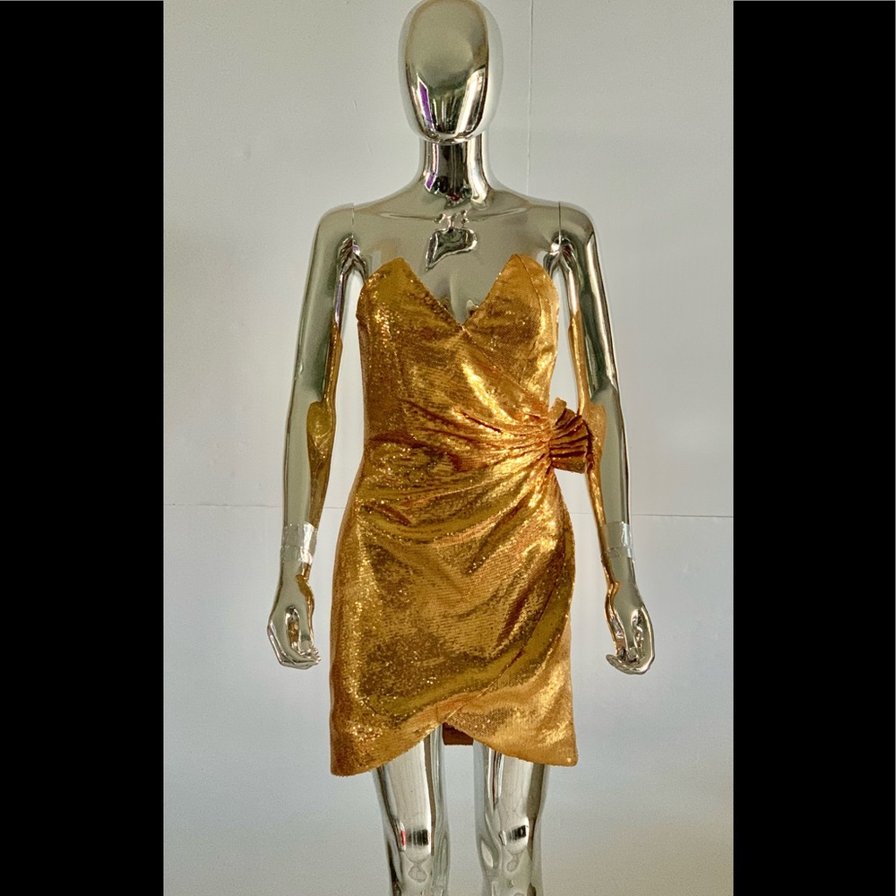 “HOST PICK” Retrofete Caroline Sequined Dress
